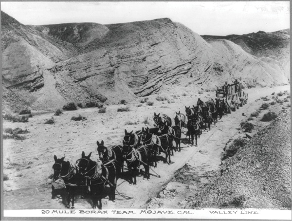 2 A wagon train of mules and horses pulls a heavy load of borax through the Mojave desert. Photographer: Albertype Company, 20 mule Borax team, Mojave, Cal. Valley line, ca. 1880–1890, photographic print. Photo: Library of Congress Prints and Photographs, Washington, DC, www.loc.gov/pictures/item/2013647267.
